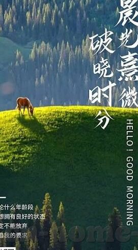 波兰赛尔加纳世界杯比分-波兰与赛尔加纳在世界杯上的对决，一场足球史上的经典战役