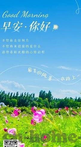 皇家炸金花aaa-皇家炸金花AAA，策略与技巧的深度剖析