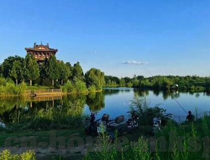 足球比分单大奖-揭秘足球比分单大奖，梦想与现实的交织